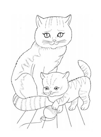 Кошка с котятами раскраска для детей