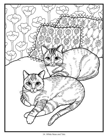 Раскраски котов и кошек
