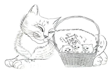 Котенок. Раскраска
