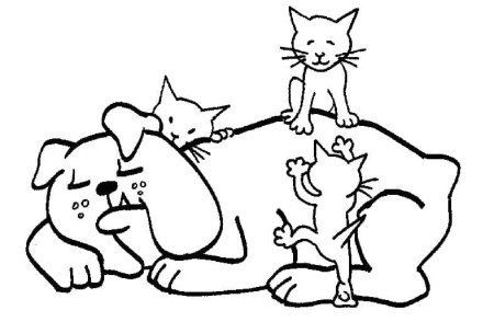 Кошки и собаки. Раскраска