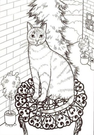 Кошка на окошке раскраска