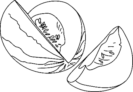 Дыня раскраска