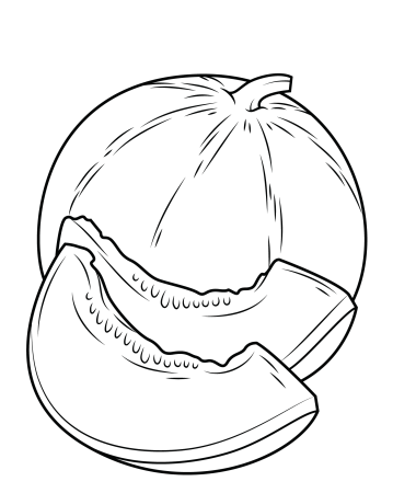 Дыня раскраска