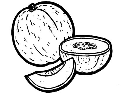 Дыня рисунок раскраска