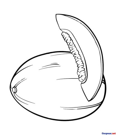 Раскраска фрукты дыня