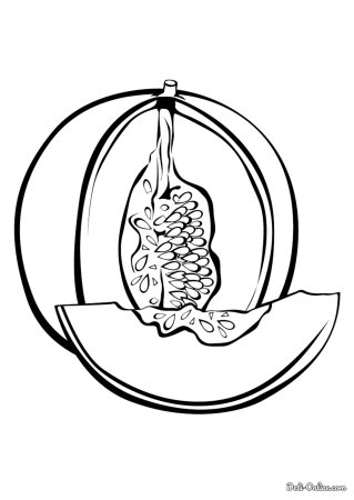 Дыня раскраска для малышей