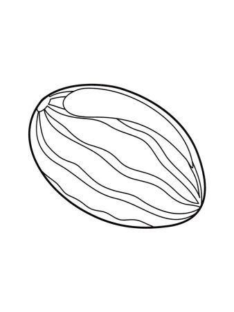 Дыня картинка раскраска