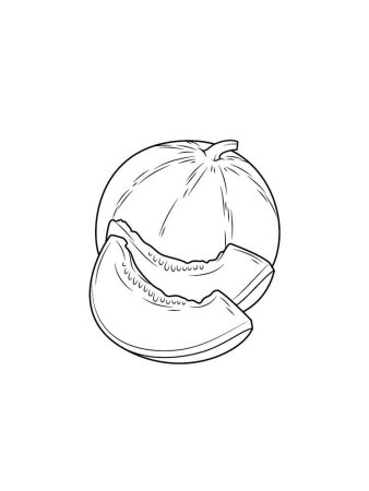 Дыня раскраска