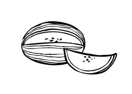 Дыня раскраска