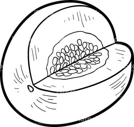 Арбуз и дыня раскраска для детей