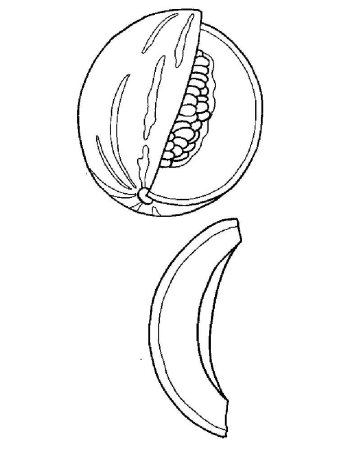 Дыня трафарет