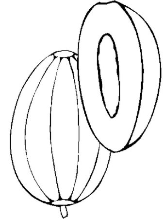 Дыня раскраска