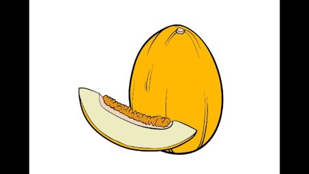 Дыня контур