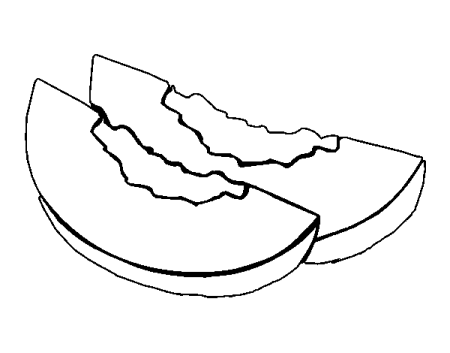 Дыня раскраска для малышей