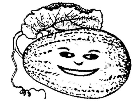 Раскраска Арбуз и дыня