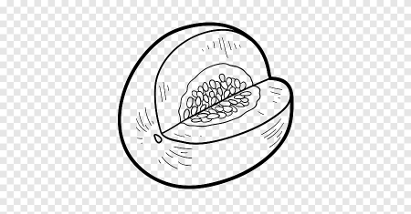 Дыня раскраска