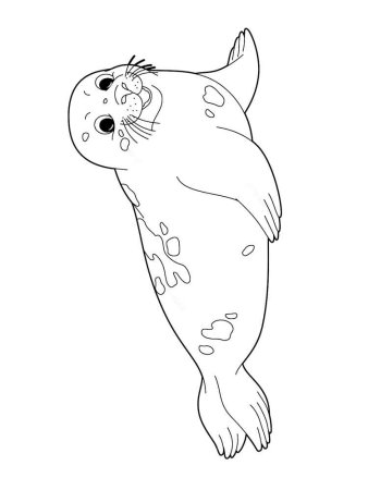 Тюлень раскраска для детей