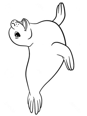 Байкальская Нерпа