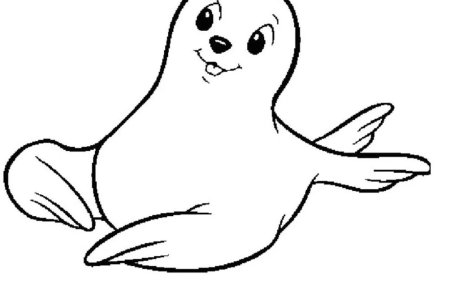 Тюлень Уэдделла раскраска