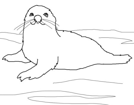 Трафарет тюлень для детей