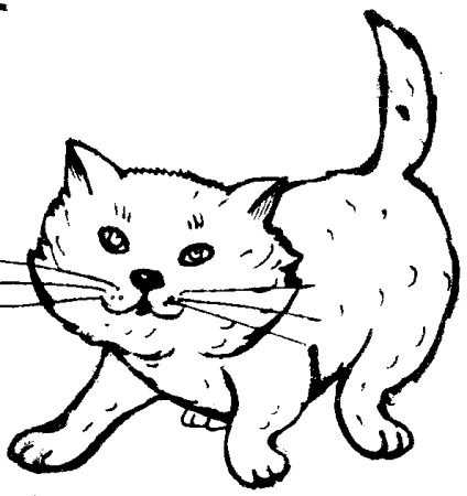 Живая шляпа раскраска