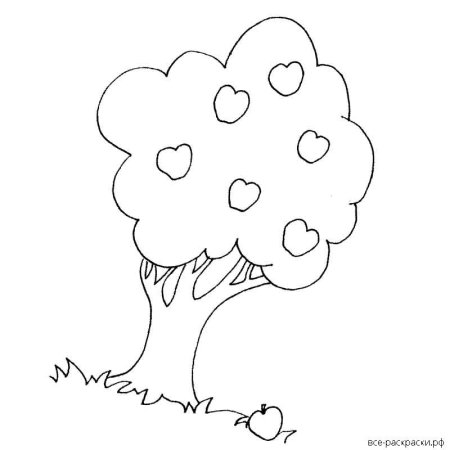 Яблоня раскраска