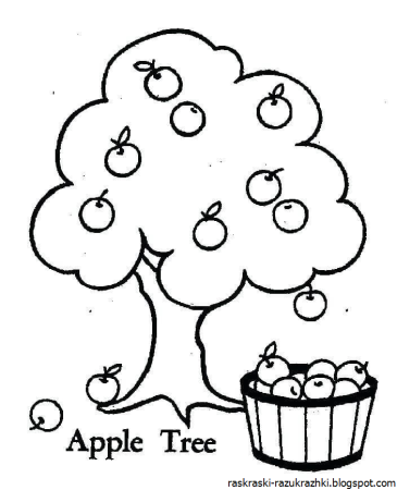 Яблоня раскраска для детей