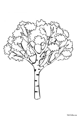 Дерево раскраска