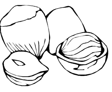Орех раскраска для детей