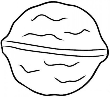 Орешки раскраска для детей