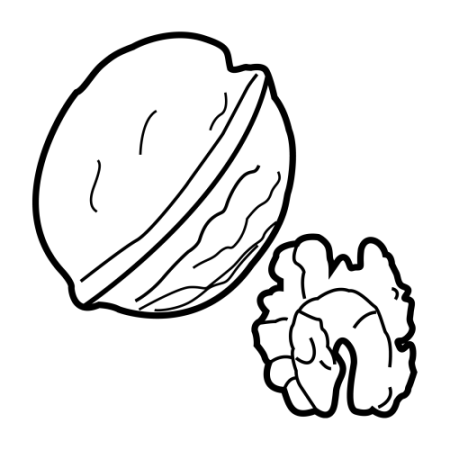 Желудь раскраска для детей