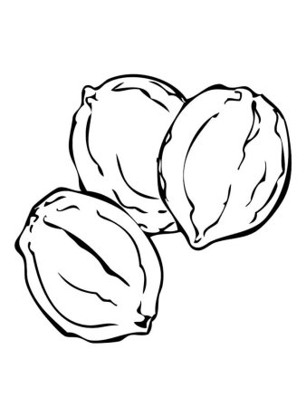 Желудь раскраска для детей