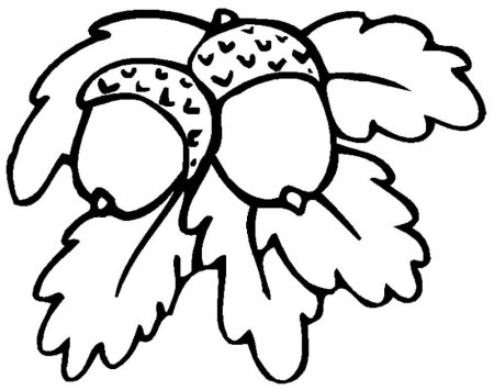 Орех раскраска для детей