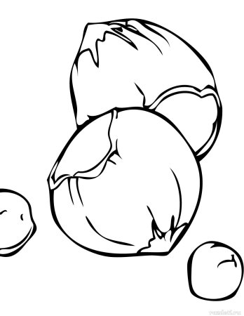 Орехи для раскрашивания для детей