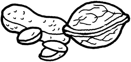 Желудь раскраска