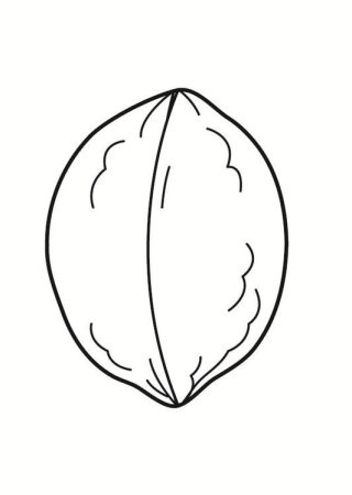 Лесной орех раскраска