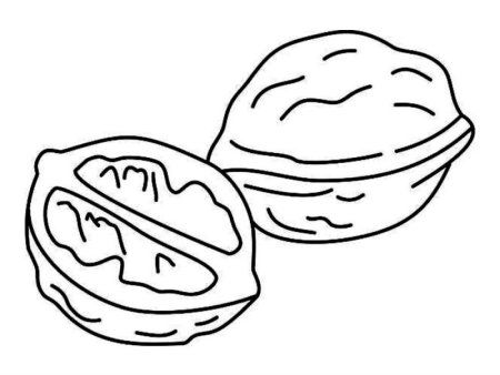 Орех для раскрашивания