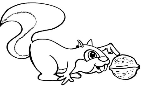 Орех раскраска