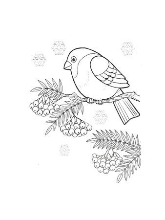 Рисование снегирьт на веткк