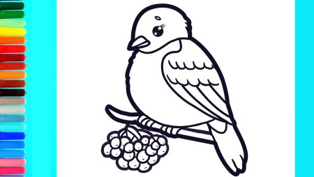 Снегирь контурный рисунок