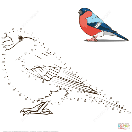 Снегирь раскраска