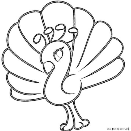 Жар птица раскраска для детей