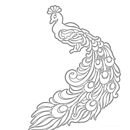 Жар птица раскраска для детей