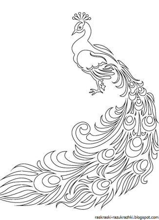 Сказочная птица раскраска