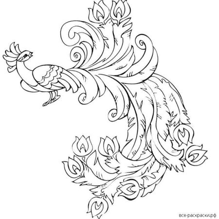 Жар птица раскраска для детей