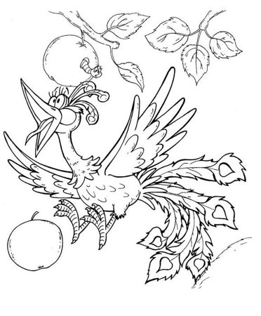 Жар птица рисунок карандашом