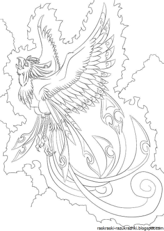 Сказочная птица карандашом