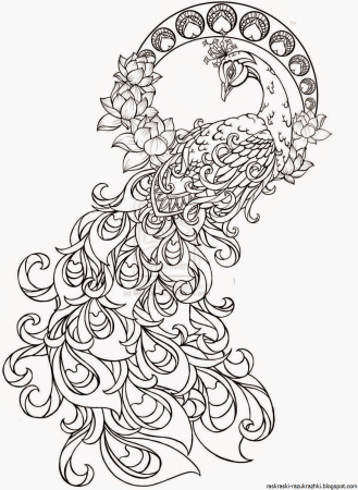 Сказочная птица раскраска