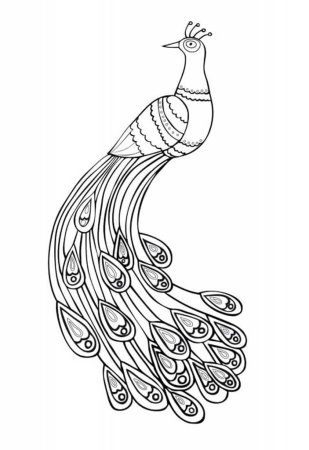 Раскраска Жар птица в полете