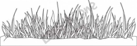 Трава раскраска для детей